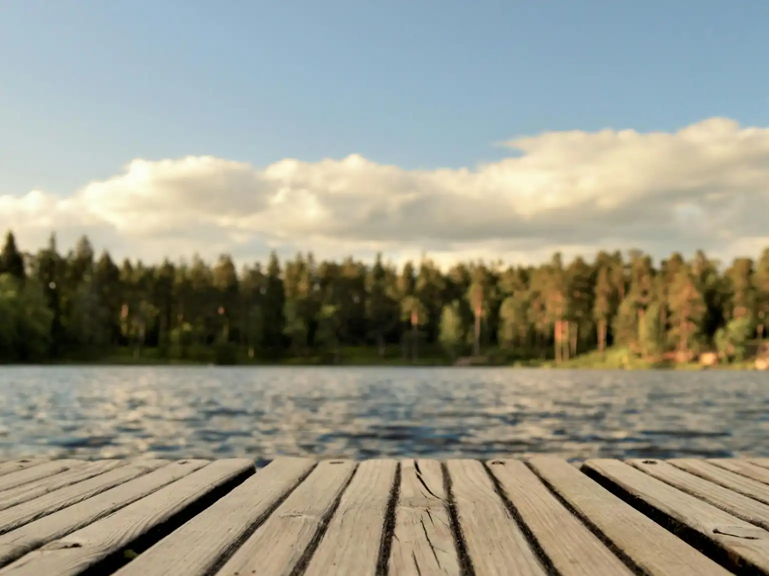 Badebro med udsigt over vandet med skov og blå himmel i baggrunden