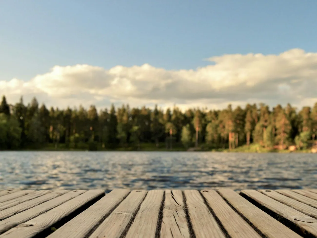 Badebro med udsigt over vandet med skov og blå himmel i baggrunden