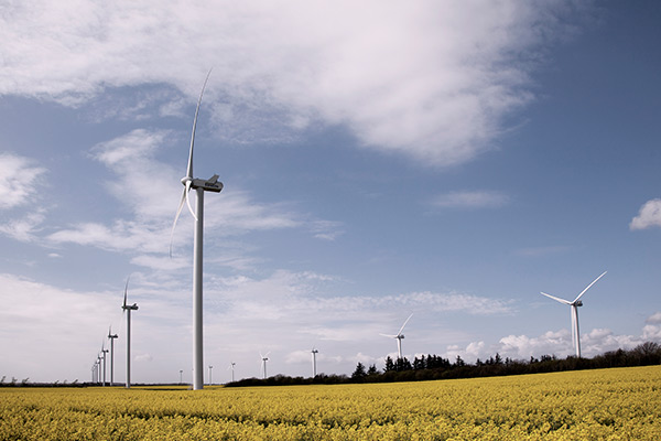 Vindmøller på en mark producerer vedvarende energi