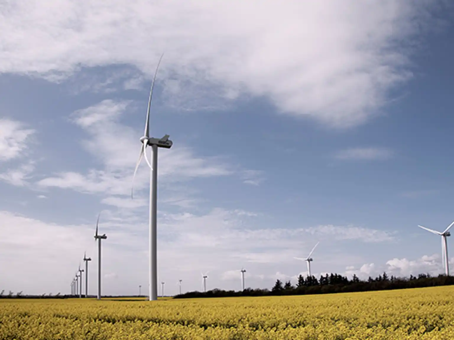 Vindmøller på en mark producerer vedvarende energi
