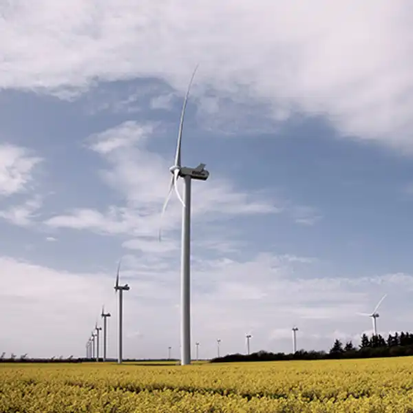 Vindmøller på en mark producerer vedvarende energi
